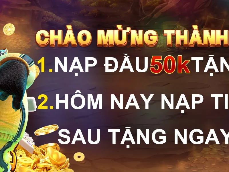 Các chương trình khuyến mãi và ưu đãi hấp dẫn từ bl555