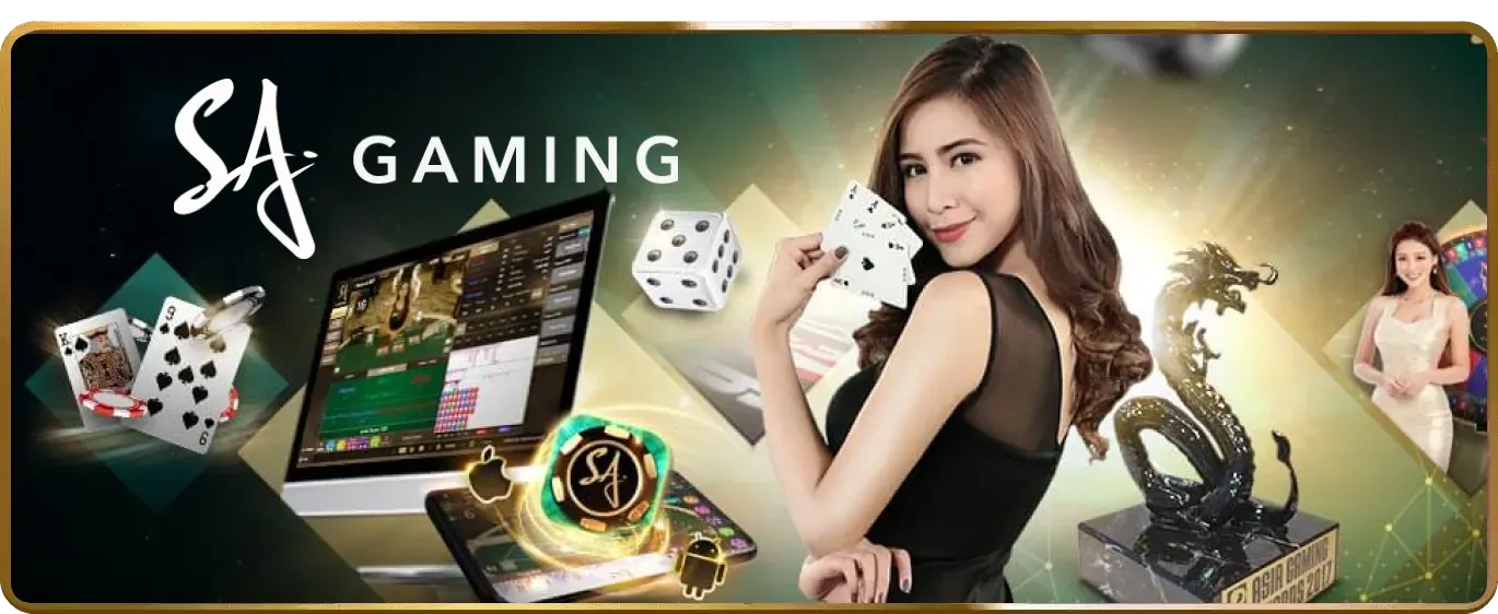 Giấy phép hoạt động BL555 c