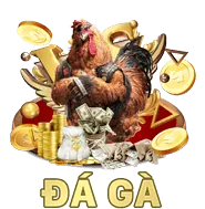 Icon Quà Tặng